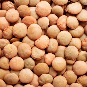 Prix de gros abordable pour les lentilles séchées avec des lentilles de la meilleure qualité exportées directement du producteur certifié - Product Image 4