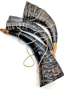 Corne d'animal vintage polie de qualité supérieure pour le camping, les festivals, les cérémonies, les collectionneurs, meilleure qualité, World Craft Impex - Product Image 3