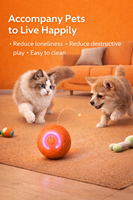 Jouet interactif pour animaux de compagnie, balle roulante électrique rechargeable par USB, en PC et TPR, résistant aux morsures, mouvement automatique, pour chien et chat