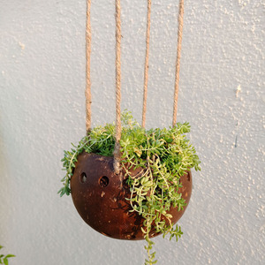 Macetas colgantes para el hogar, mini macetas naturales hechas a mano, para decoración del hogar, precio barato - Product Image 5