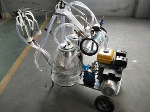 ガソリン牛搾乳機真空ポンプ付きシングルまたはダブルバケツヤギ馬用 - Product Image 2