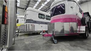 Remorque à chevaux TrailTrekker 2 HORSE STRAIGHT LOAD FLOAT 2HSL-3075 à vendre - Product Image 3