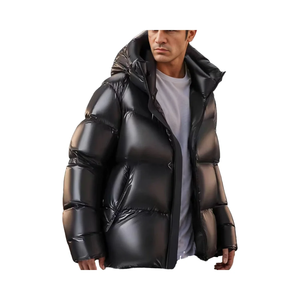Blouson matelassé pour homme, col montant, manteau d'hiver brodé, fermeture éclair frontale, 100 % nylon, vêtement d'extérieur grande taille, mode décontractée - Product Image 1