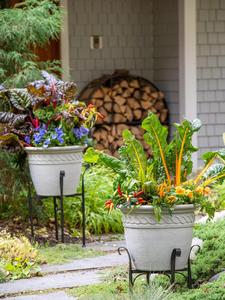 Meilleure vente de support de jardinière noir en métal pour jardin, maison, restaurant, hôtel à bas prix - Product Image 6