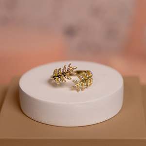 Anillo de Plata de Ley 925 con Incrustaciones de Micro Pavé, Anillo de Moda 'In Your Arms' Resistente al Deslustre con Baño de Oro y Rodio para Regalo - Product Image 1