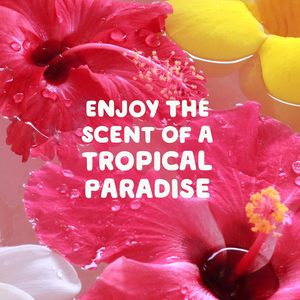 Detergente Líquido para Ropa Gain, Happy, Compatible con HE, 154 fl oz, 107 Cargas - Product Image 3