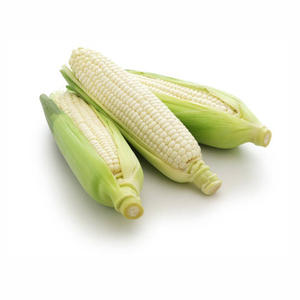 Maíz blanco seco glutinoso de Grado Superior FD procesado para consumo humano y animal Origen de Francia - Product Image 2