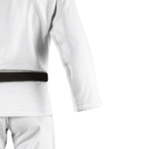 Nouveau 2025 prix d'usine sur mesure nouveauté karaté costume BJJ Jiu Jitsu Arts martiaux uniforme avec fonction extensible - Product Image 6