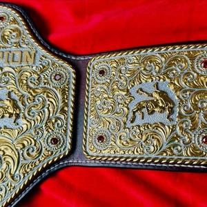 Cinturones de Campeonato Antideslizantes para Adultos, Profesionales, Unisex, Último Diseño, Gran Venta - Product Image 4