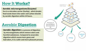 Proveedor mundial que vende Exbio 1000kg/día Capacidad Digestor de alimentos de alta tecnología Máquina de eliminación/compostaje - Product Image 5