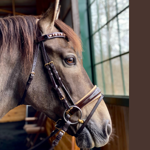 Brida de caballo de cuero genuino multicolor caliente tamaño completo - Product Image 6