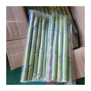 99 GD nouvelle culture IQF vert canne à sucre forme de bâton canne à sucre congelée culture commune long bâton durée de conservation durable goût d'été - Product Image 2