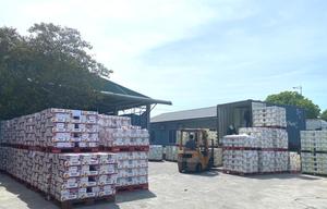 Triple X Boissons Boisson énergétique faible en gras Caféine Taurine Saveur sucrée OEM ODM Service disponible Bouteilles Sacs en vrac Halal - Product Image 6