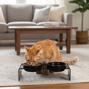 Station d'alimentation pour animaux de compagnie portable en acrylique à double bol, grande capacité, étanche, 2 bols en céramique, design moderne transparent pour chats et chiens - Product Image 6