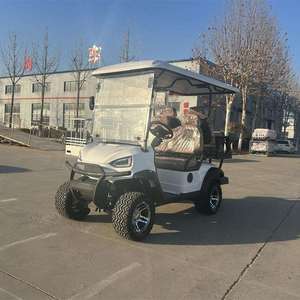 Carritos de golf VIP de lujo a bajo costo, de 2 a 8 asientos, con asientos de cuero premium, luces LED y batería de largo alcance para uso de invitados. - Product Image 1