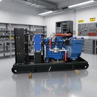 80KW Synthesegas/Biogas/Erdgas LPG Wassergekühlter 95% Effizienter 400V 50/60Hz Bürstenloser Turbinengenerator mit Autostart und Fernstart