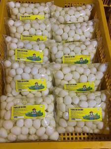 Huevos de codorniz mejor vendidos, pelados, esterilizados y conservados en salmuera, grado de exportación desde Vietnam - Product Image 2