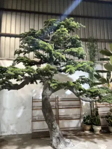 Kunstmatige Dennentakken Grote Potplant Nep Grote Japanse Pijnbomen Faux Ceder Dennenboom Voor Thuis Deco