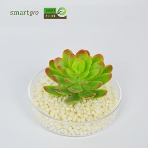 13 ans d'expérience dans l'industrie Smart Fert Expert en engrais SmartGro Enduit de polymère Urée Engrais à libération contrôlée dans le temps - Product Image 3