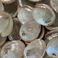 Meilleur prix sur Artisanat naturel vietnamien Coquille d'ormeau polie Coquillage exquis du Vietnam