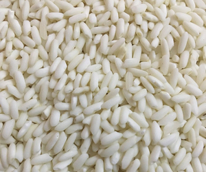 Qualité supérieure de l'usine de riz du Vietnam 5% riz gluant cassé/collant nouvelle récolte exportation meilleur prix vendeur chaud séché Riz - Product Image 2