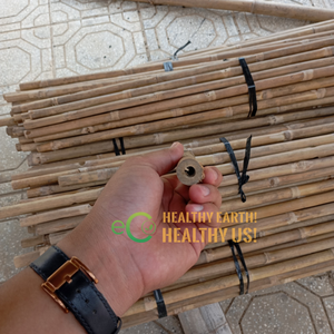 Piquets en bambou naturel en gros pour le soutien des plantes en pépinière et dans les jardins et fermes - Product Image 5