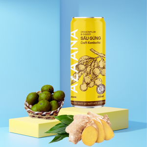 เวียดนาม etsau ผลไม้และขิงคอมบูชาผสมน้ำผลไม้เข้มข้นพร้อมส่ง - Product Image 6