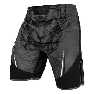Shorts de grappling MMA imprimés par sublimation pour hommes, vêtements d'arts martiaux, shorts de boxe, shorts MMA - Product Image 1