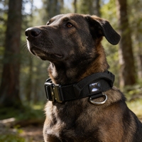 Collier tactique robuste pour chien avec boucle à dégagement rapide, doublure en néoprène, patchs personnalisables, anneau en D en acier inoxydable pour toutes les races