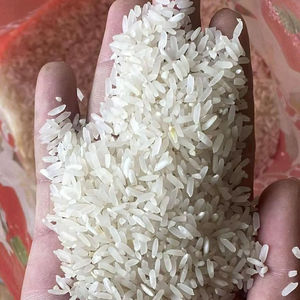 Arroz Jazmín de Vietnam, 6.8mm de Largo, Color Jazmín Brillante, 14% de Humedad Máxima, Arroz Aromático No Basmati, Bolsas de 5kg, 10kg, 20kg / ANNA - Product Image 1
