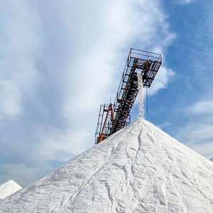 High Quality Industrial Grade Sodium Chloride (NaCl) Raw Sea Salt Powder Egypt Origin Wholesale 50KG 1000KG <b>Jumbo</b> <b>Bags</b> - Product Image 3