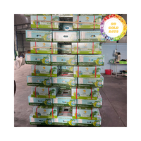 Vietnamese Verse Groene Zoete Gepelde Kokosnoot Duimpulp-Mals Kokosnoot-Zoet Kokoswater-Premium Kwaliteit