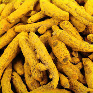 Bâton de curcuma cru séché au soleil, qualité supérieure, origine Gujarat, riche en curcumine, soutient l'immunité, bienfaits anti-inflammatoires - Product Image 2