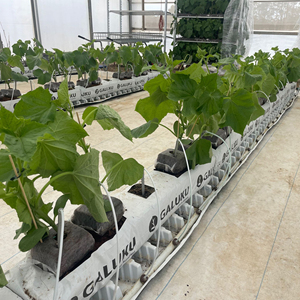 Sacs de culture personnalisables avec enrichissement en tourbe de coco sur mesure pour tomates, fraises et poivrons améliorant la réussite des cultures - Product Image 6