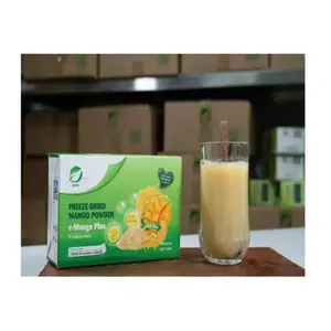 Großhandel Reduzieren Sie Cholesterin Zucker frei Export ISO Cert Drink Supplement OEM Typ Mango pulver Gefrier getrocknete E-Mango Plus Vietnam