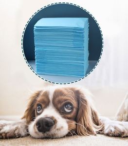 China Factory Wholesale Puppy <b>Pee</b> <b>Pad</b> Dog <b>Pad</b> Pet Urinal <b>Pad</b> for Dogs Pet Training - Product Image 5