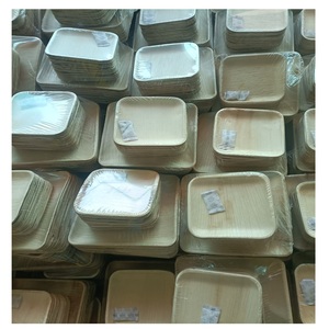 Assiettes compostables biodégradables jetables écologiques de 10 pouces, 200 pièces pour une utilisation durable, vertes - Product Image 6