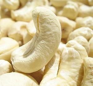 Noix de cajou brutes séchées Noix de cajou naturelles en forme de rein Approvisionnement en vrac pour l'industrie alimentaire et les marchés de détail - Product Image 2