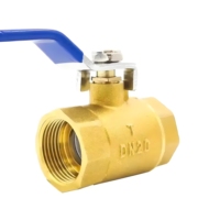 Vanne à boisseau sphérique en laiton DN65 BSP à filetage femelle, manuelle, pour eau, OEM, pression 16 kg, personnalisable pour applications CVC, incendie et chimiques