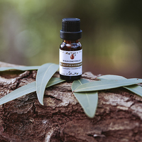 HUILES ESSENTIELLES Eucalyptus Citron Essentiële Olie 100% Pure Natuurlijke Kruidenolie voor Alle Huidtypen Volwassenen