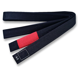 Cinturón BJJ Gi negro personalizado de la mejor calidad con logotipo bordado y nombre 100% algodón cinturones de uniforme de artes marciales Unisex en la mejor venta - Product Image 2