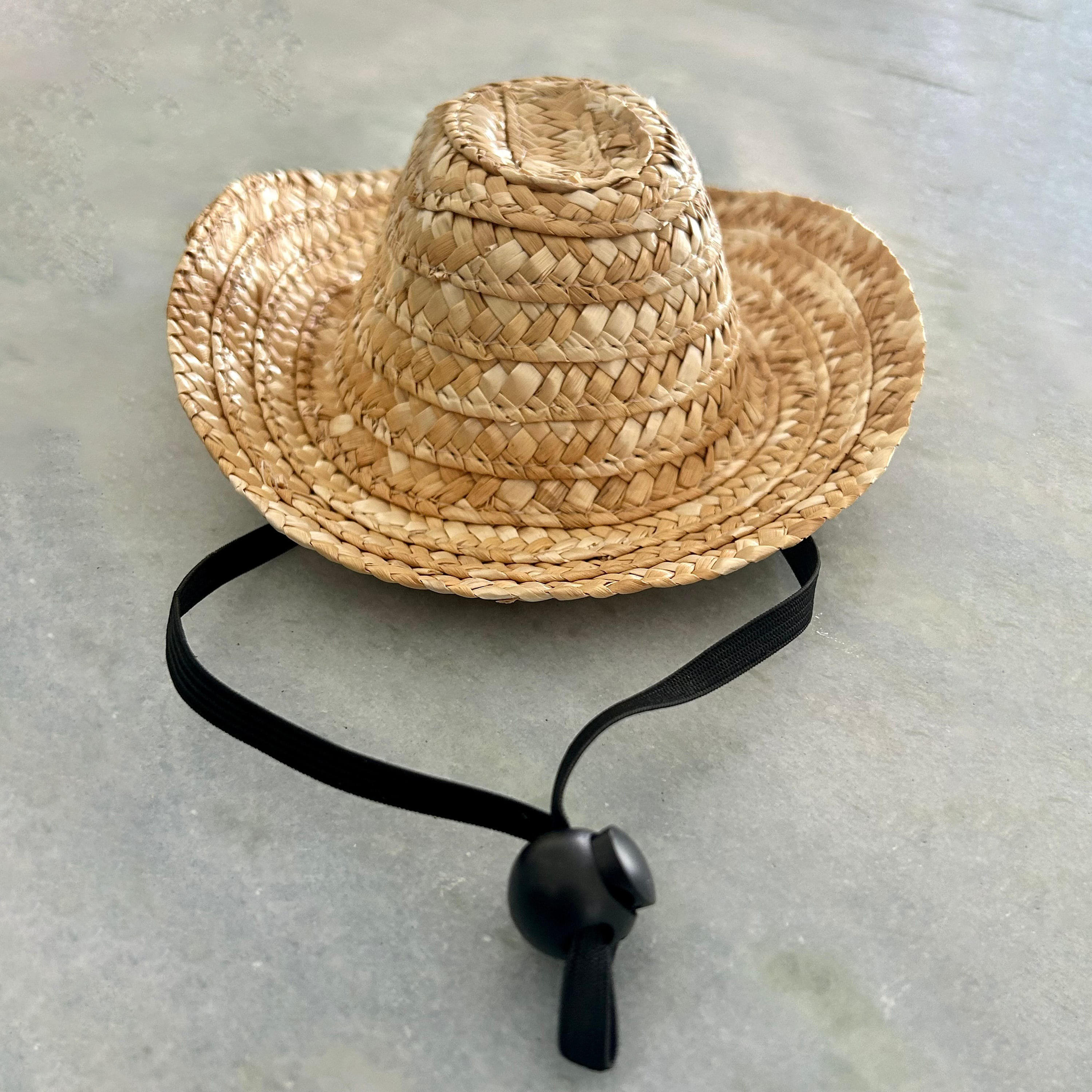 ธรรมชาติ