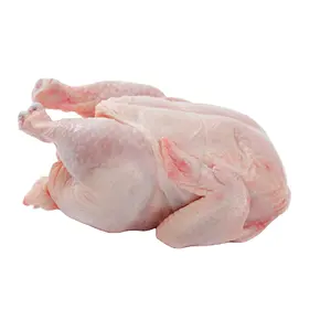 Wholesale Cheap Leg Quarter Frozen Chicken For Sale Halal Frozen Leg Quarter suppliers in Europe