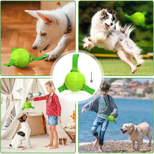ของเล่นสุนัข Joy Dog รุ่นรักษ์โลก ทันสมัย หรูหรา ทำจากผ้าฝ้ายนุ่มและซิลิโคน ขนาด 5 ซม. รูปการ์ตูนน่ารัก สำหรับเล่น - Product Image 2