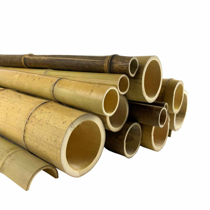 Raw bamboo poles ready to sell from Vietnam with low prices dried