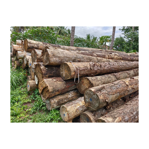 High Quality Kiln-Dried Pine Round <b>Logs</b> White Ash Kay and Teak Oak Saw <b>Logs</b> at Cheap Price High Quality Dried Timber - Product Image 3