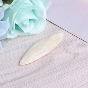 Hueso de sepia secado al sol de primera calidad, juguete para masticar pájaros de alta calidad, huesos de sepia de pescado seco para mascotas exportadas desde Vietnam - Product Image 5