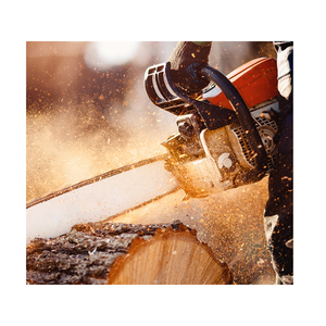 Proveedores de polvo de sierra de alta calidad en stock para compradores mayoristas de Vietnam - Product Image 6