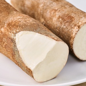 Manioc frais en vrac manioc frais idéal pour le traitement à haute teneur en amidon 100% et l'approvisionnement en gros direct de l'usine - Product Image 4