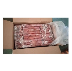 Fournisseur en gros de calamars entiers congelés, produits de la mer en vrac, prêts à l'exportation, U7, faible teneur en sel, normes européennes - Product Image 3